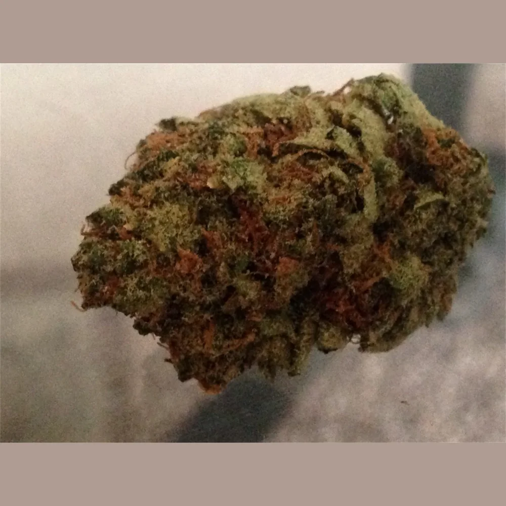 Mac 10, weed delivery in North York